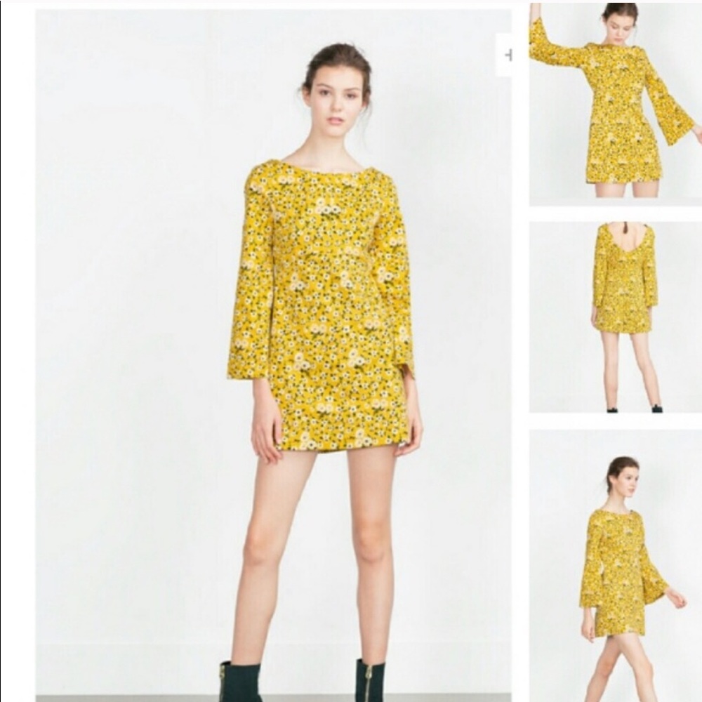 Zara Floral Print Dress